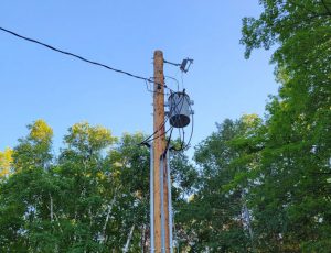 Power line next to green trees